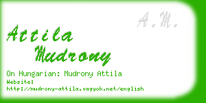 attila mudrony business card